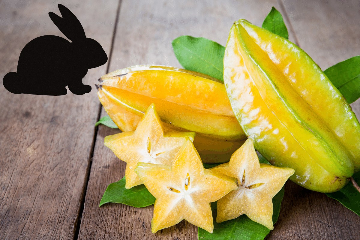 can rabbits eat star fruit