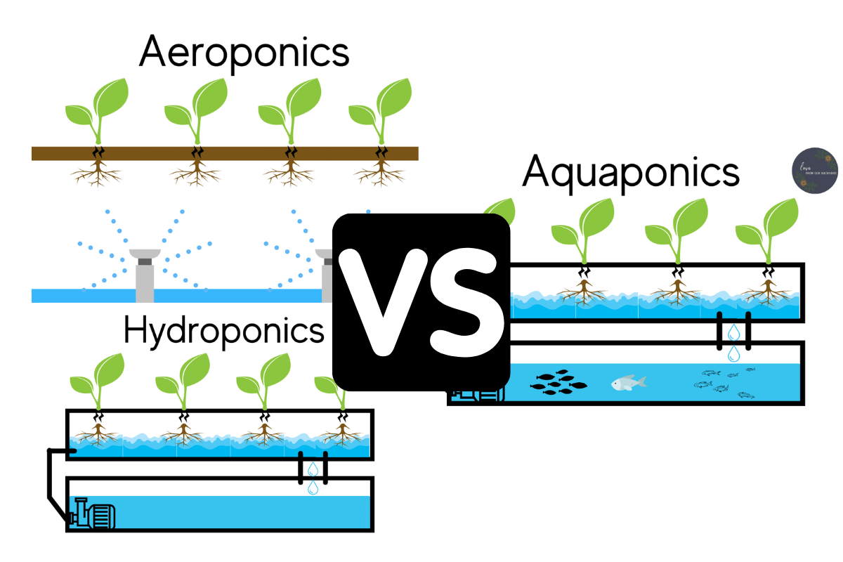 aeroponics vs hydroponics vs aquaponics
