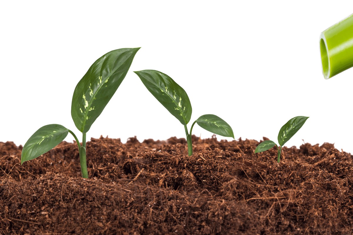 Can Hydroponics Nutrients Be Used In Soil